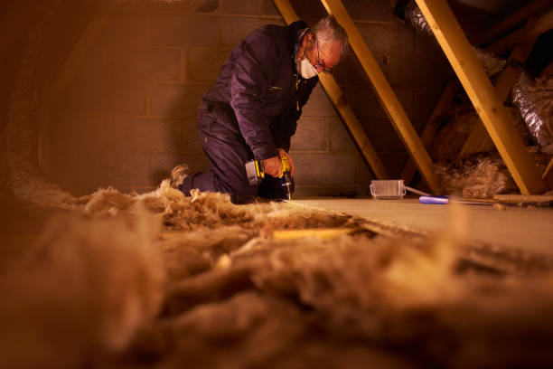 Best Attic Insulation Installation  in Sylva, NC